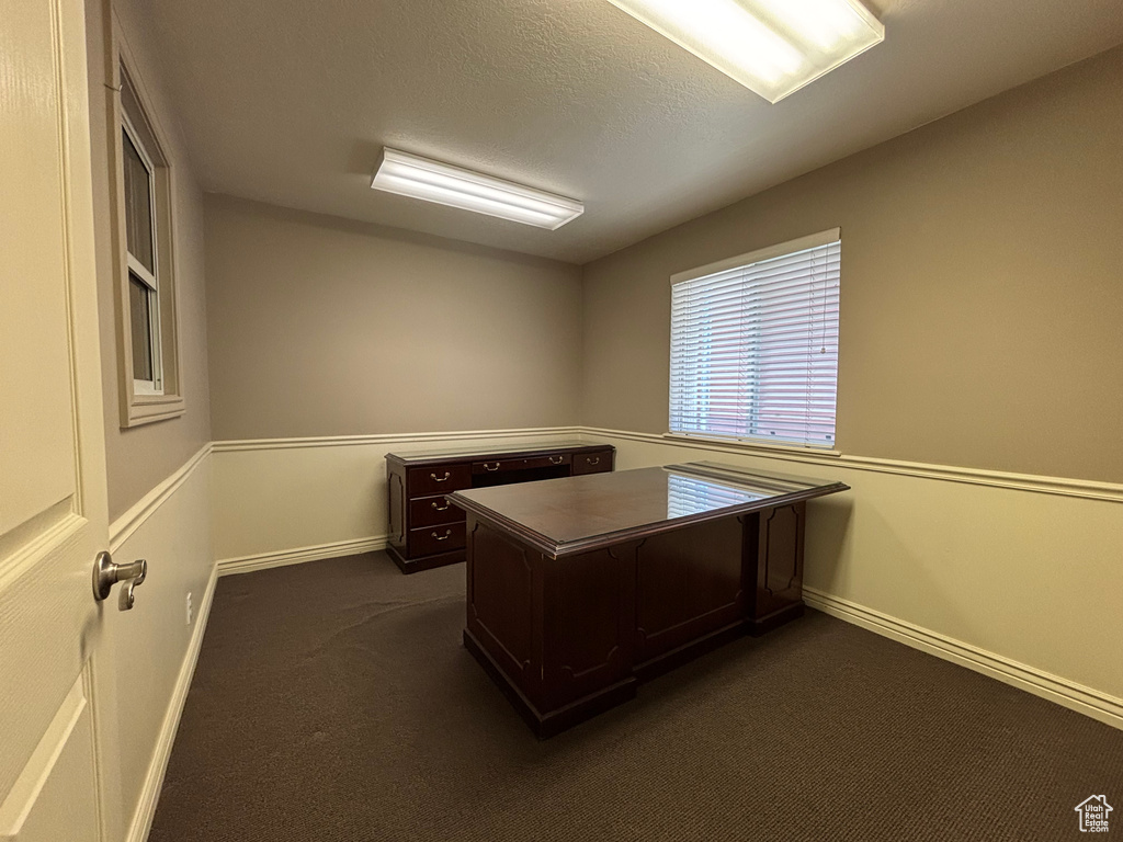 Office with dark carpet and a textured ceiling