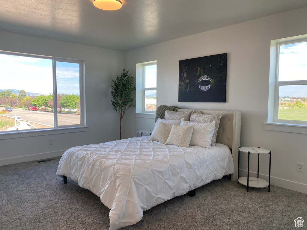 Bedroom featuring carpet