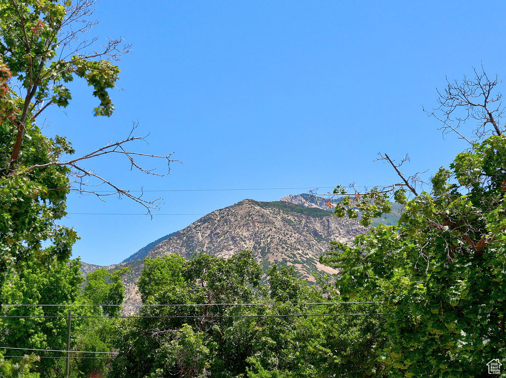 View of mountain background