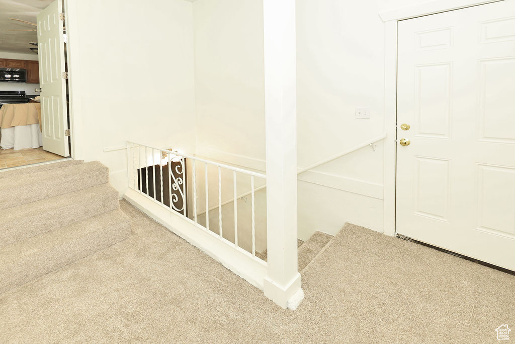 Stairway featuring carpet flooring