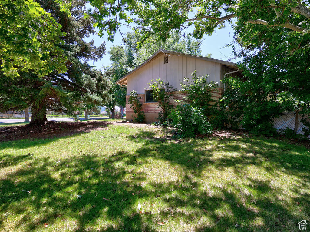 View of grassy yard
