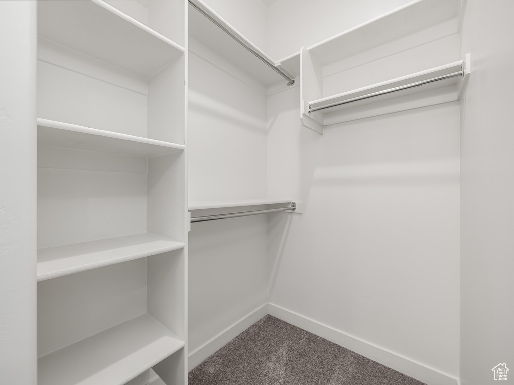 Spacious closet featuring dark carpet