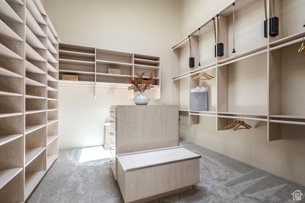 Spacious closet featuring carpet floors