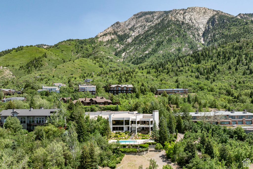 View of mountain background with a heavily wooded area