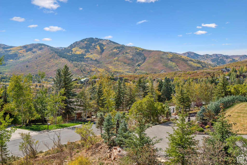 3308 AMERICAN SADDLER DR Park City, UT 84060