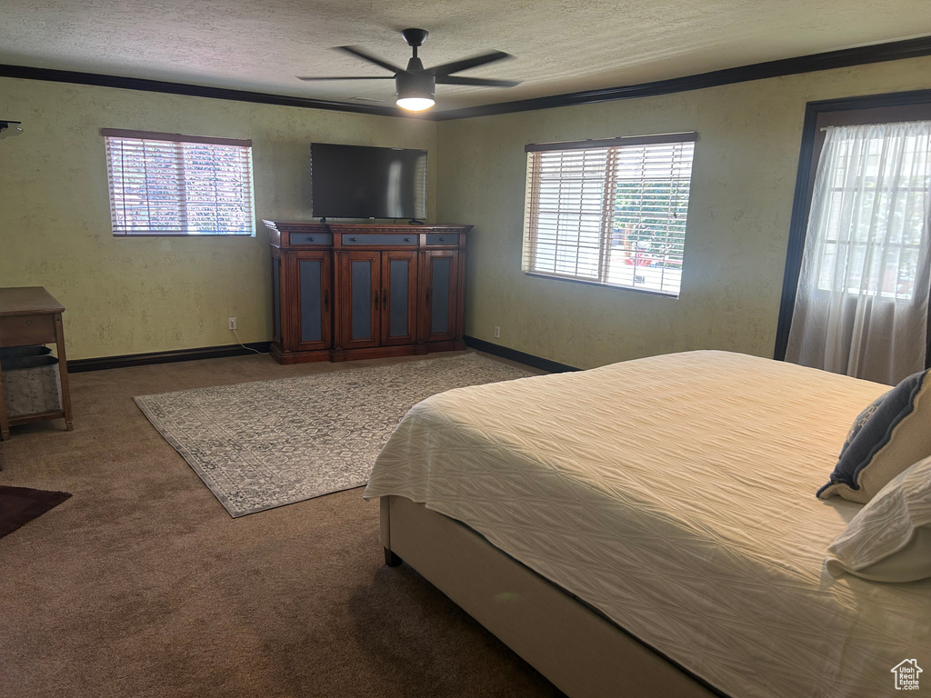 2537 S TAYLOR AVE Ogden, UT 84401