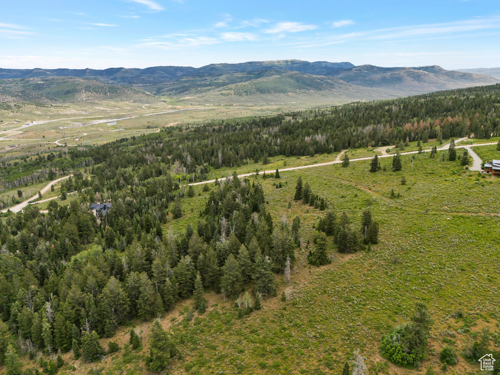 View of mountain background with a forest