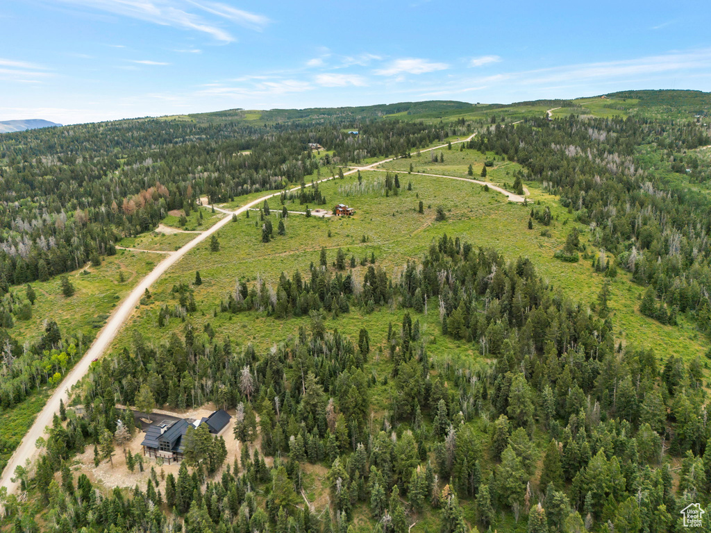 Aerial overview of property's location with a heavily wooded area and a mountainous background