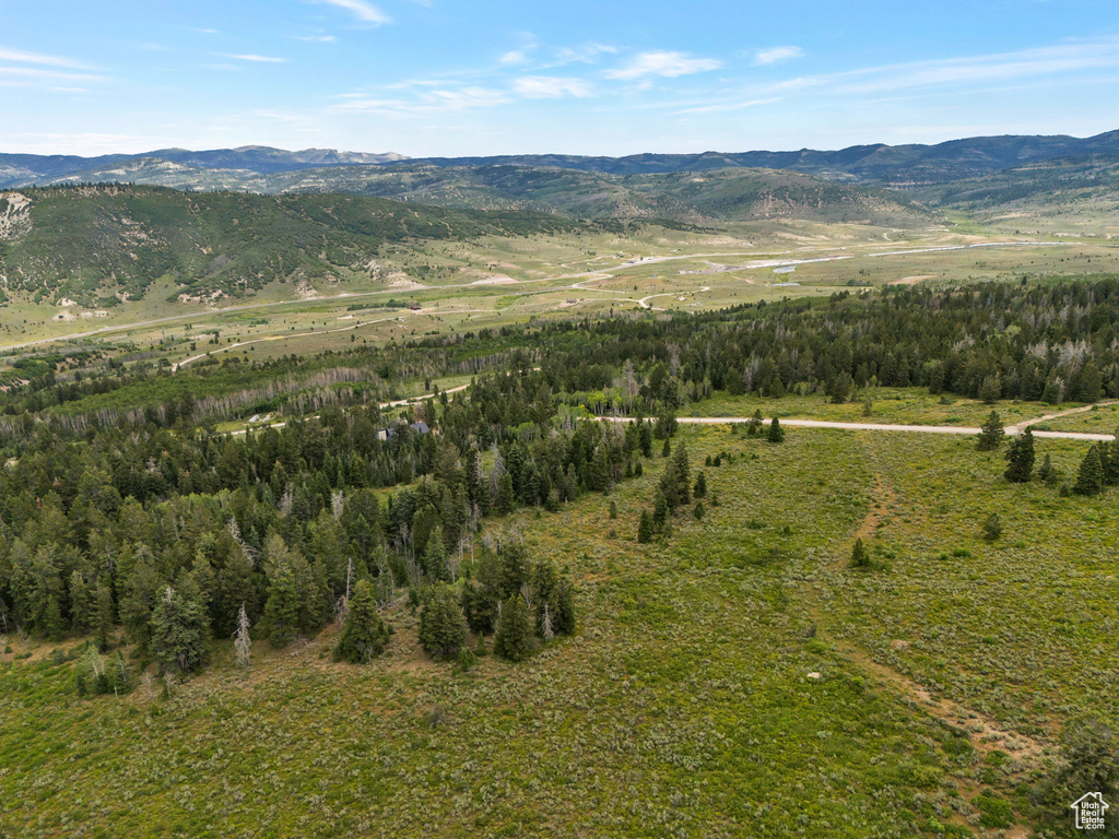 View of mountain background