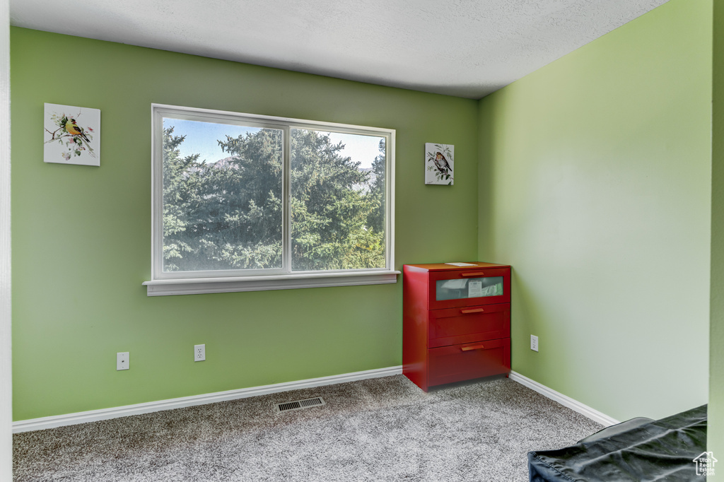 Unfurnished bedroom with carpet flooring and a textured ceiling