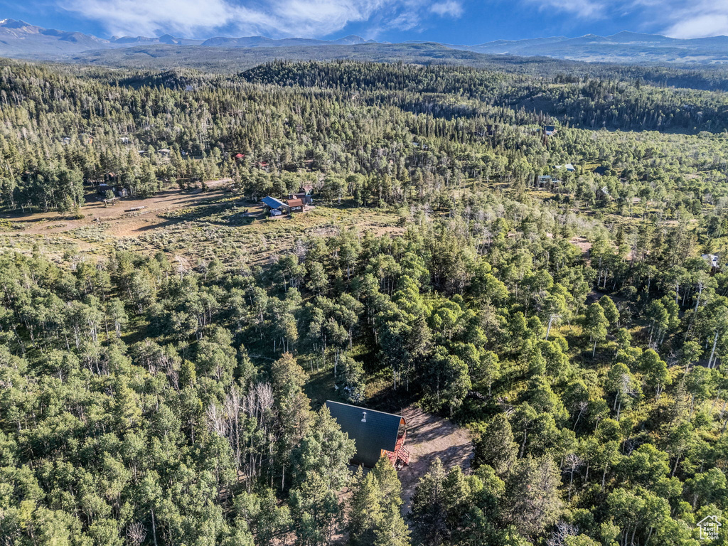 Aerial overview of property's location with a forest and mountains