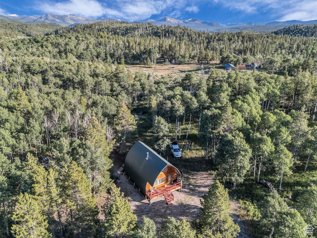 Bird's eye view of a forest and a mountain backdrop