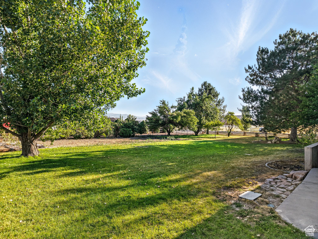 View of green lawn