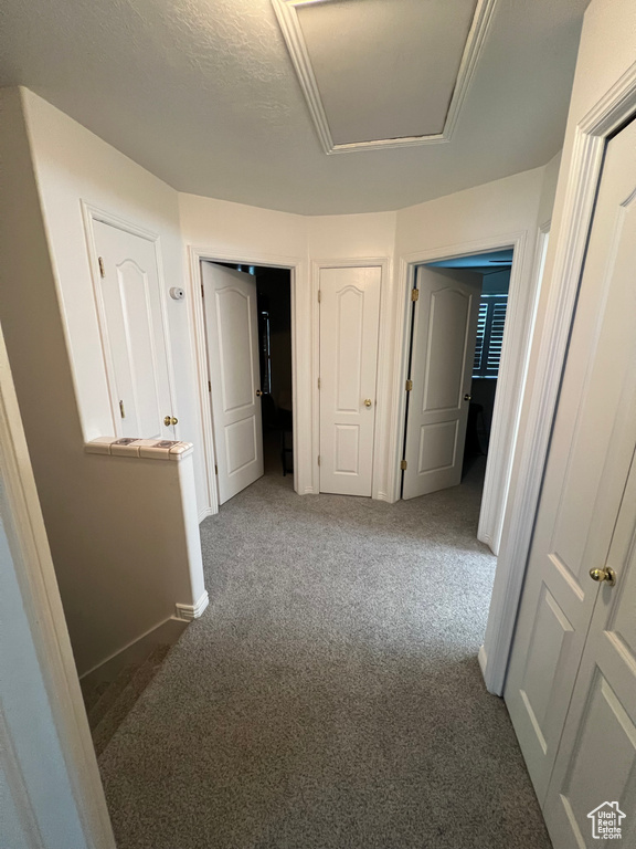 798 W NORWAY MAPLE CT Payson, UT 84651