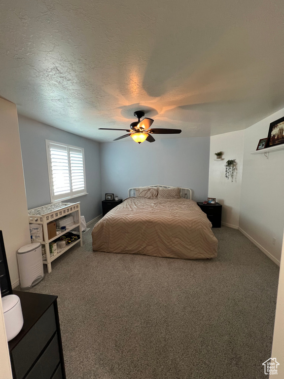 798 W NORWAY MAPLE CT Payson, UT 84651