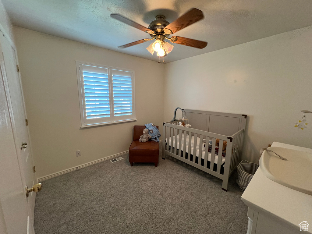 798 W NORWAY MAPLE CT Payson, UT 84651