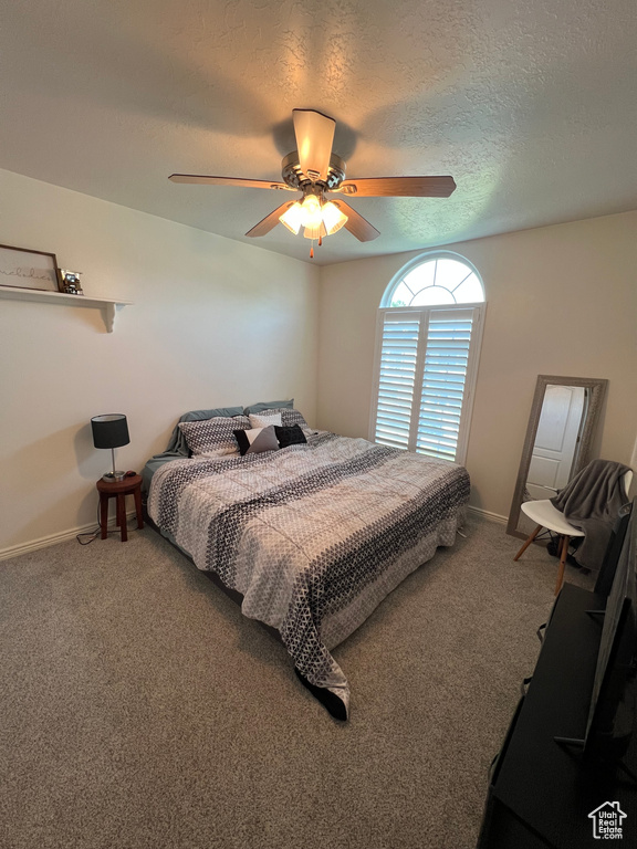 798 W NORWAY MAPLE CT Payson, UT 84651