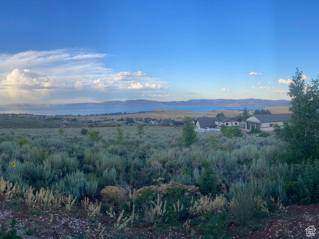 Mountain view