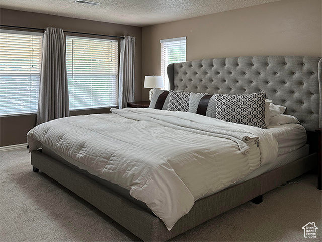 14072 S JULIEN CV Bluffdale, UT 84065