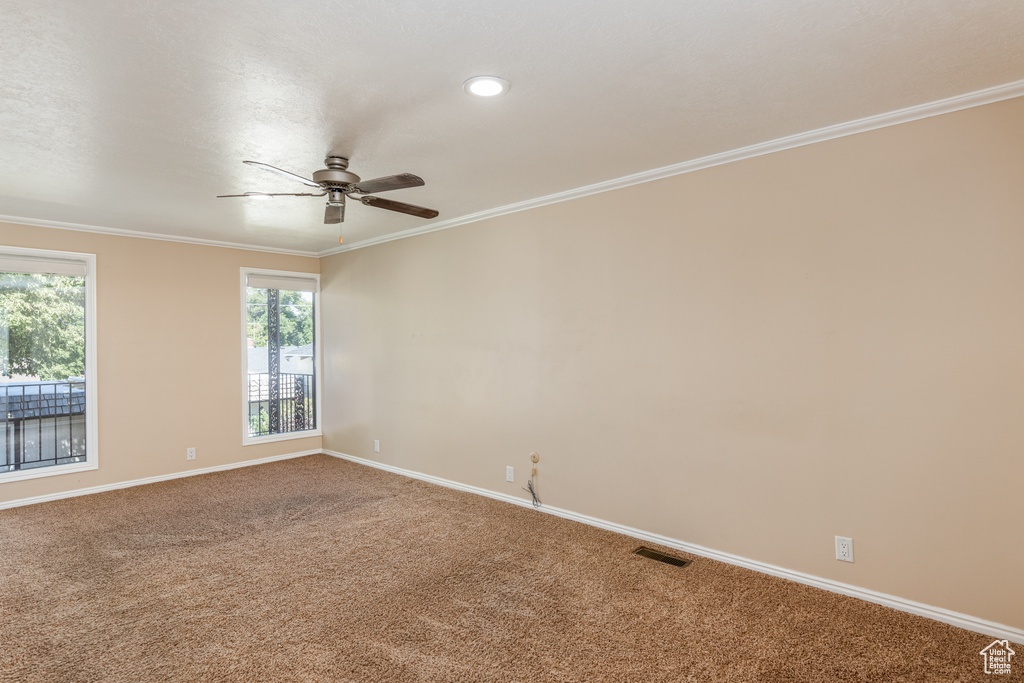Carpeted spare room with ceiling fan and ornamental molding