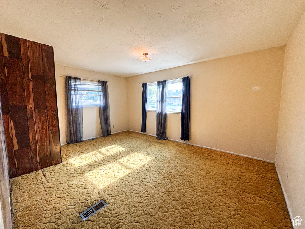 Unfurnished room with carpet flooring and a textured ceiling