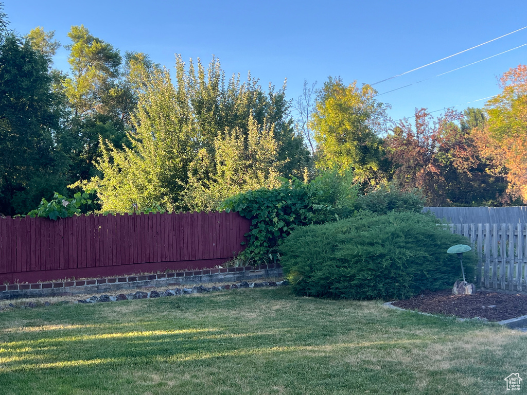 View of fenced backyard