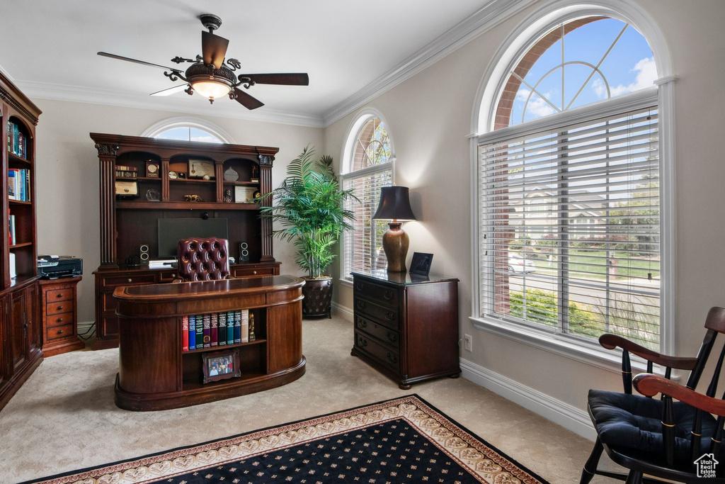 Office space with a ceiling fan, healthy amount of natural light, and ornamental molding