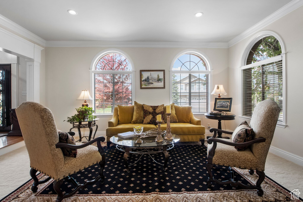 Living area with crown molding, recessed lighting, and carpet flooring