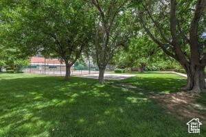 View of grassy yard