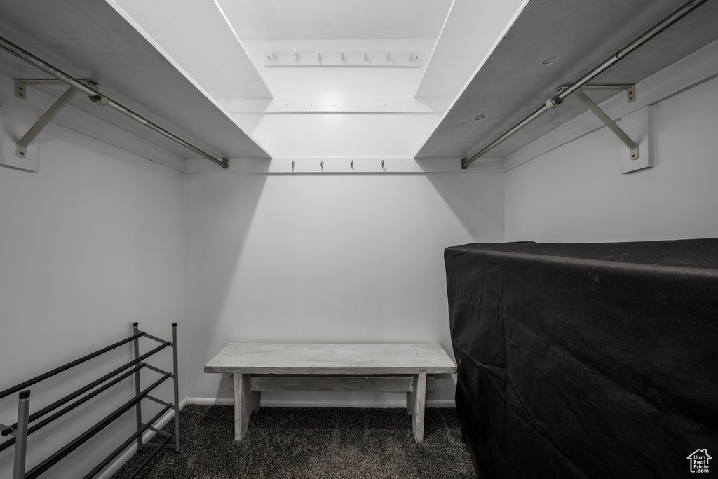 Walk in closet with carpet