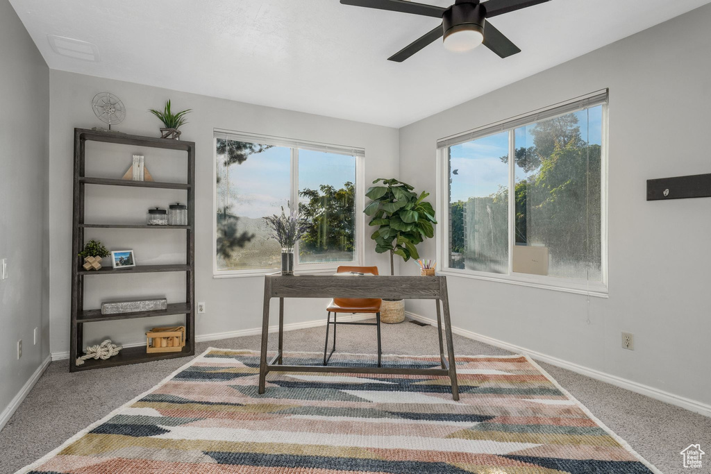 Carpeted office with a ceiling fan and plenty of natural light