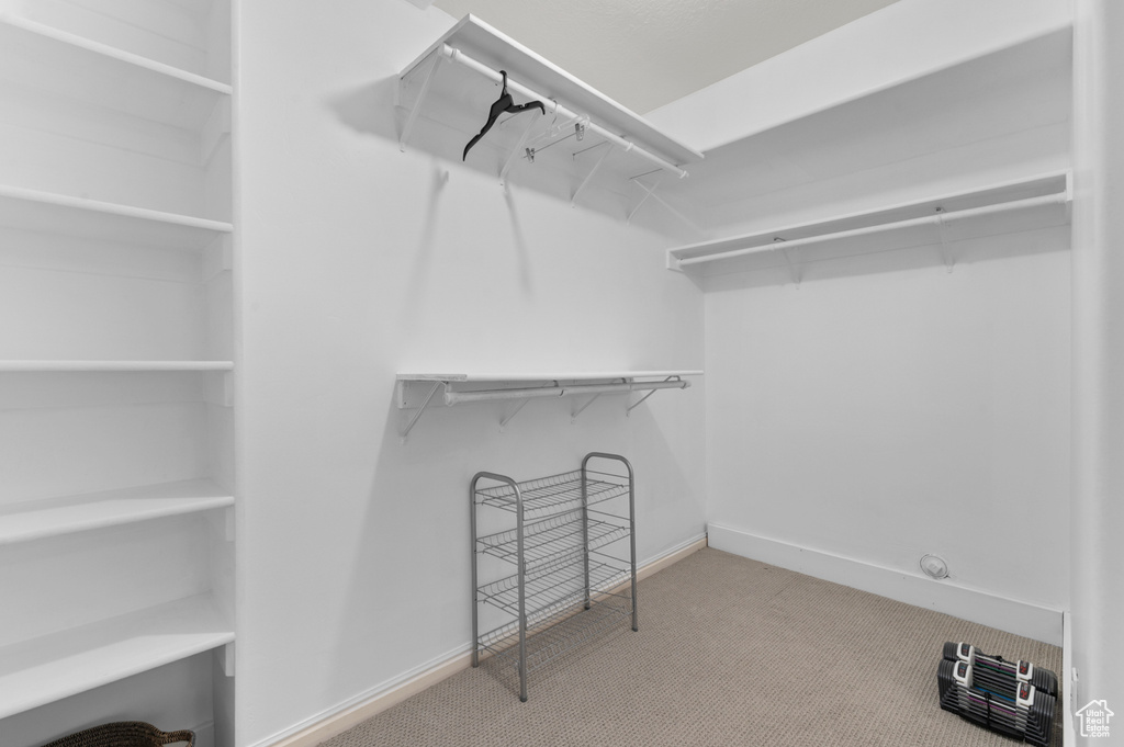 Walk in closet featuring carpet floors