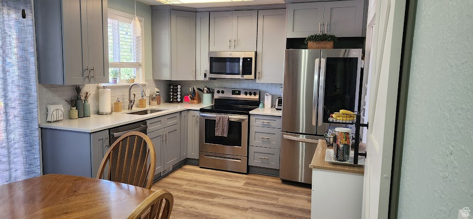 Kitchen with appliances with stainless steel finishes, gray cabinetry, decorative backsplash, and light wood-type flooring