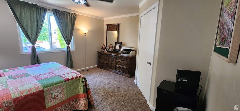 Bedroom featuring carpet floors, an office area, and crown molding