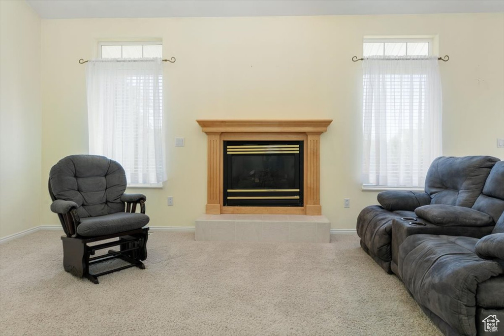 Living room featuring carpet floors, a fireplace, and healthy amount of natural light