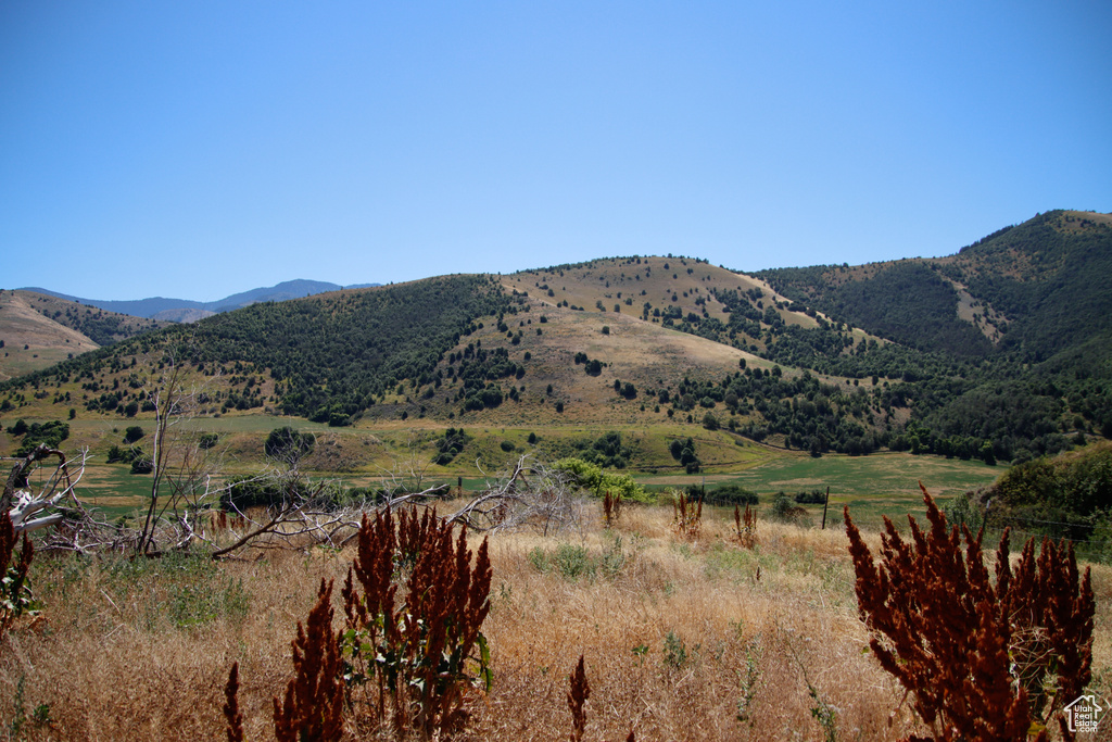  Preston, ID 83263