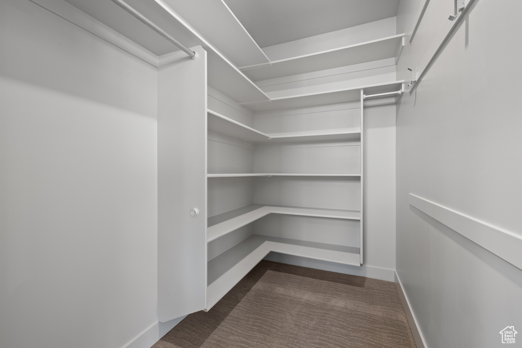 Spacious closet with dark carpet