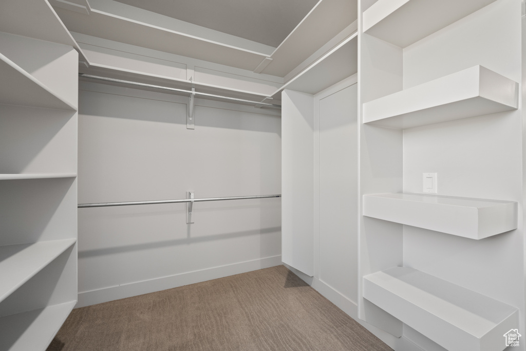 Spacious closet with carpet floors