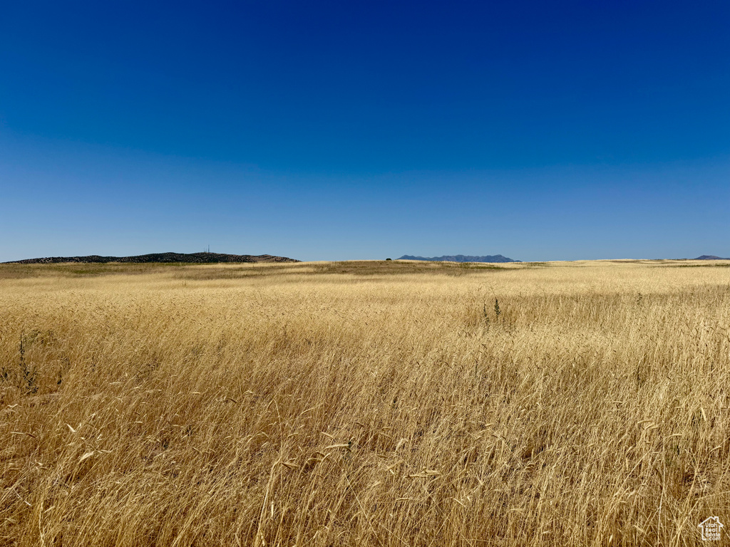View of undeveloped land featuring rural landscape