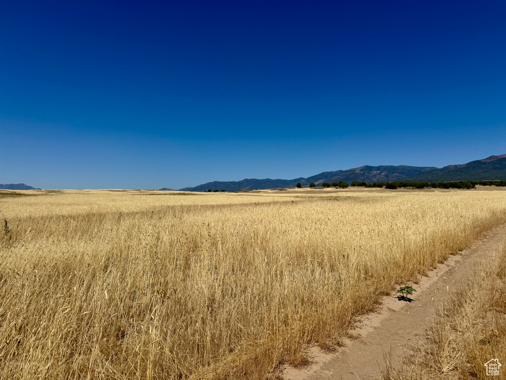 View of mountain background with rural landscape