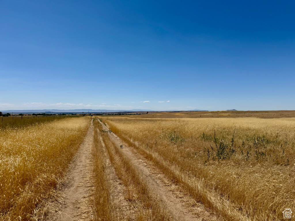 View of dirt / gravel road with a rural view