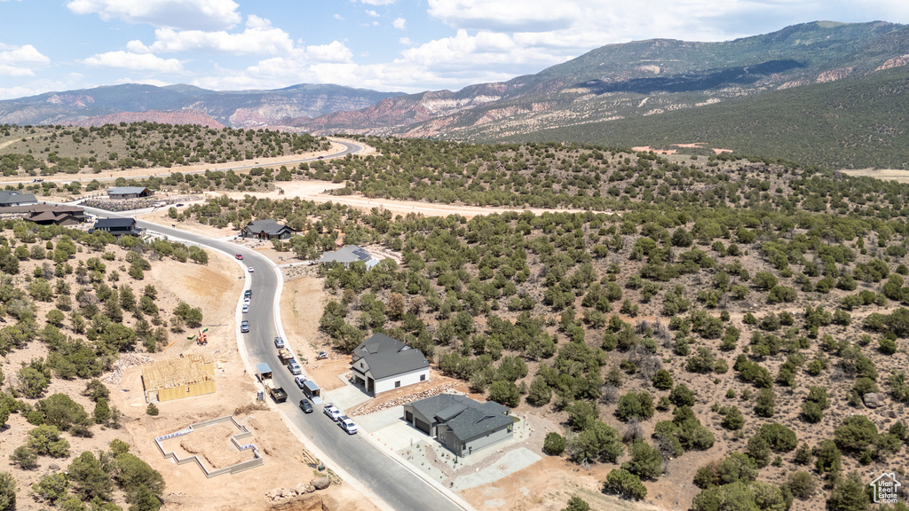 Bird's eye view of mountains