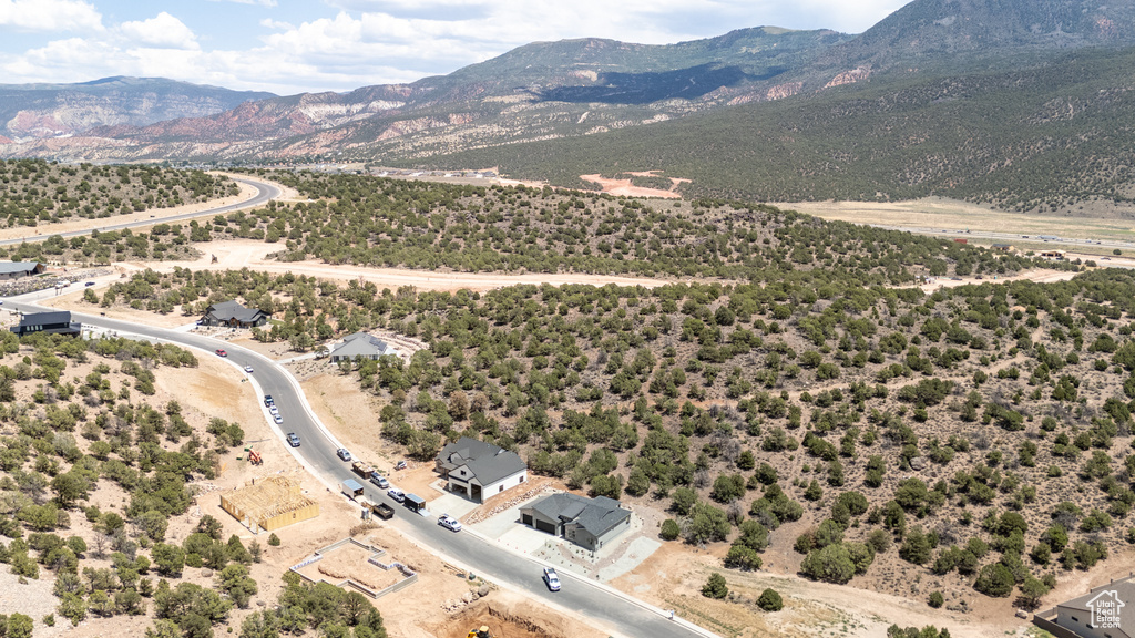 Bird's eye view of a mountain backdrop