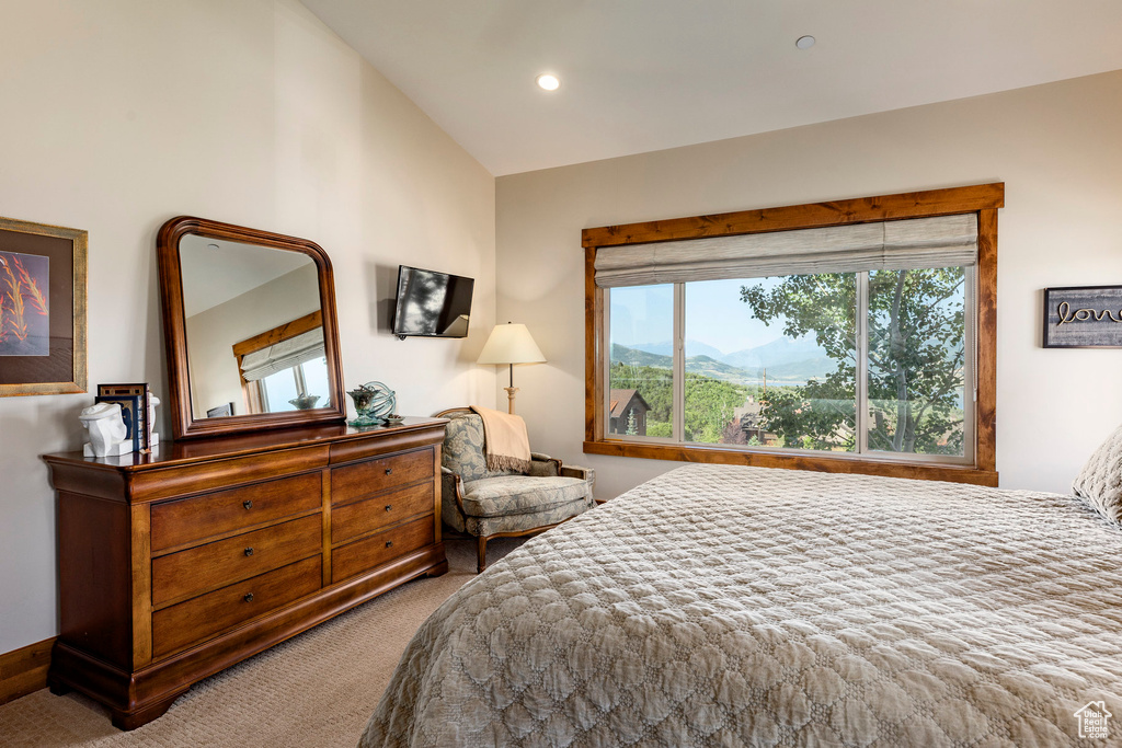 Photo 17 for MLS #2098666 at 1658 E Viewside Cir