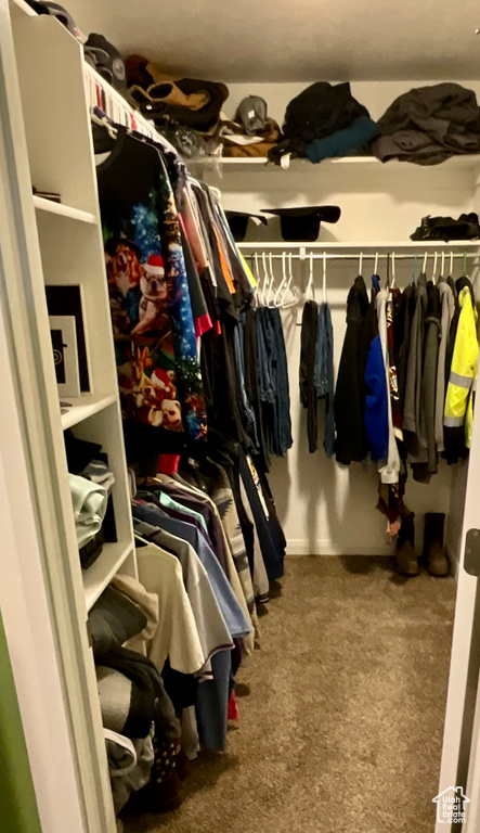 4364 N ROSE SPRINGS RD Erda, UT 84074