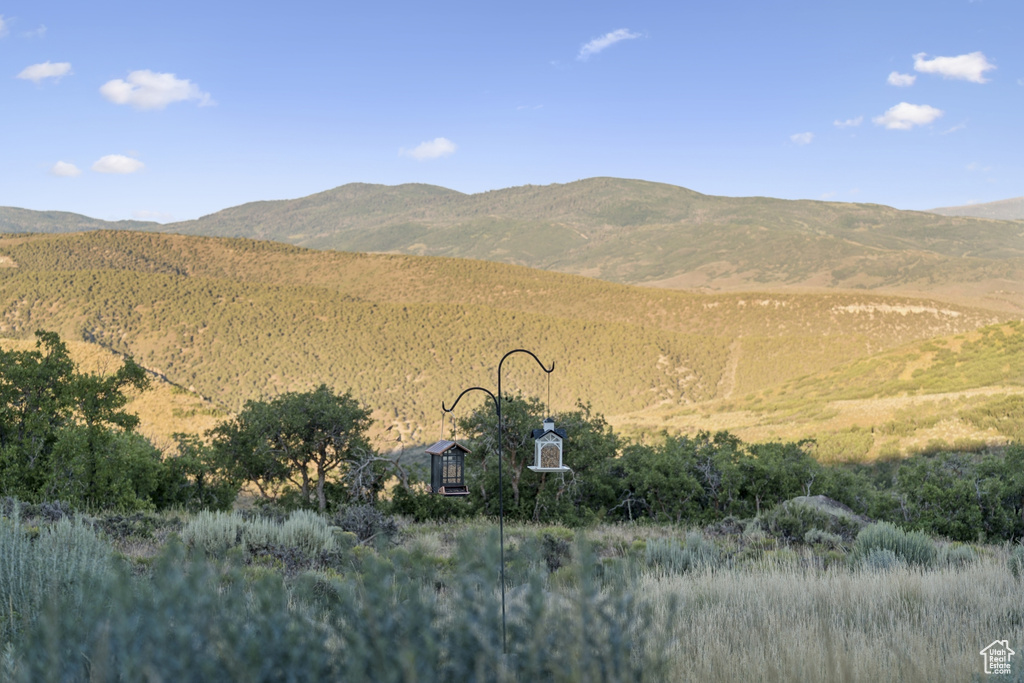 View of mountain background