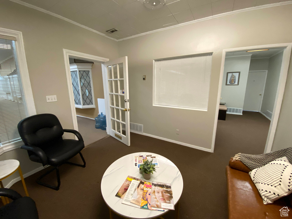 Living area featuring crown molding, carpet floors, and french doors