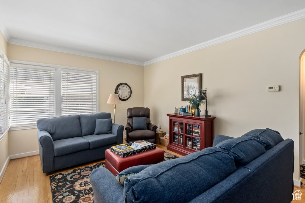 Living area with ornamental molding, light wood-type flooring, and arched walkways