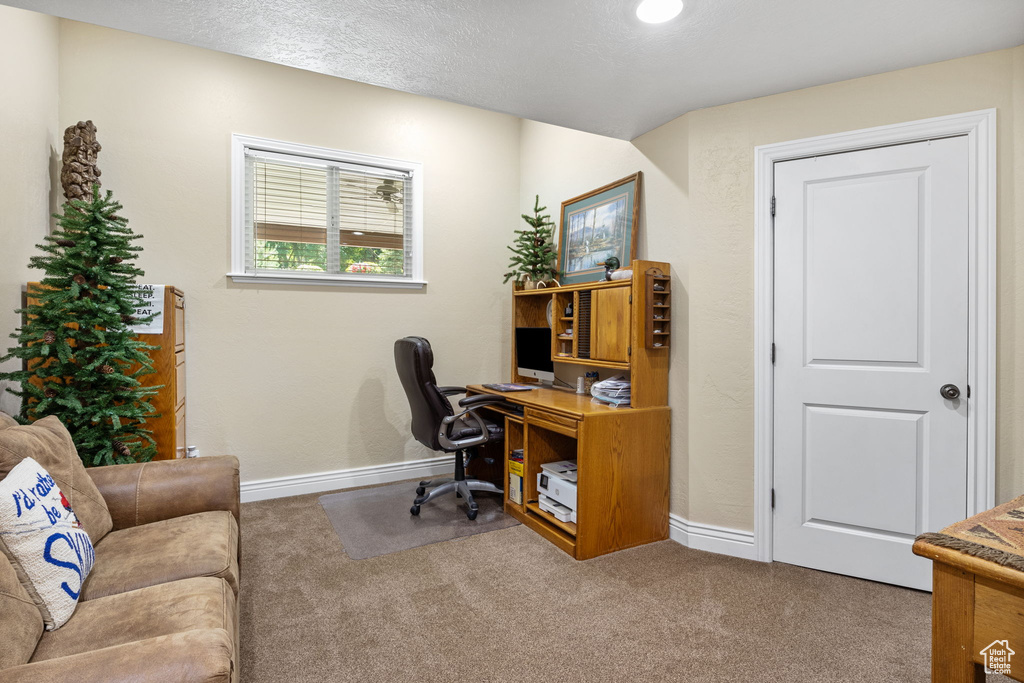 Carpeted office featuring baseboards and a textured ceiling