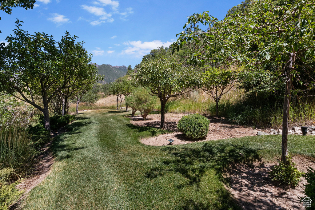 View of green lawn with a mountain view
